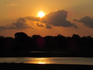 IMG_2328